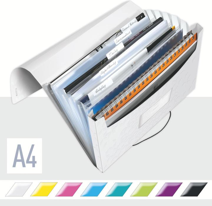 Actual product image Leitz Wow (A4, 1 x)