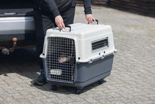 Actual product image Karlie Nomad transport box (Dog, Cat, Lockable)