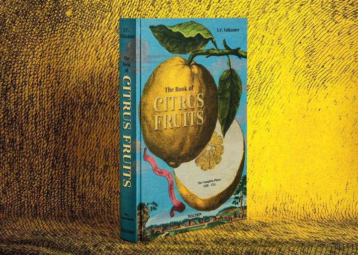 Image du produit J. C. Volkamer. The Book of Citrus Fruits (Allemand, Français, Anglais, Iris Lauterbach, 2020)