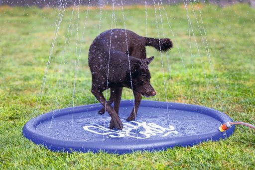 Actual product image Beeztees Bz Sprinkler Mat Stay Cool Bl (Dog pool)