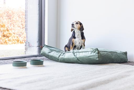 Produktbild Designed by Lotte Nalino (Hund)