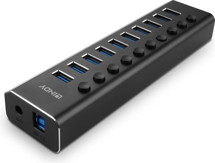 Actual product image Lindy 10 Port USB 3.0 Hub with On/Off Switches Connect up to 10 USB Devices (USB-C, 10 Ports)