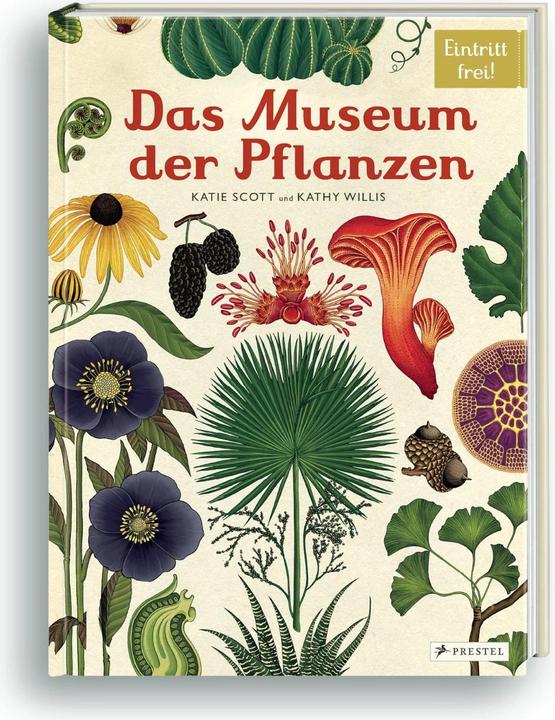 Produktbild Das Museum der Pflanzen (Deutsch, Kathy Willis, Katie Scott, 2016)