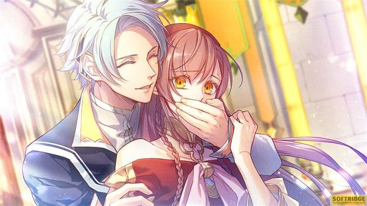 Produktbild Aksys Game Radiant Tale SWITCH (Switch, Switch Lite, Switch OLED)