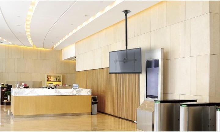 Immagine prodotto Reflecta PALLAS 70-6040T (Soffitto, 70", 50 kg)