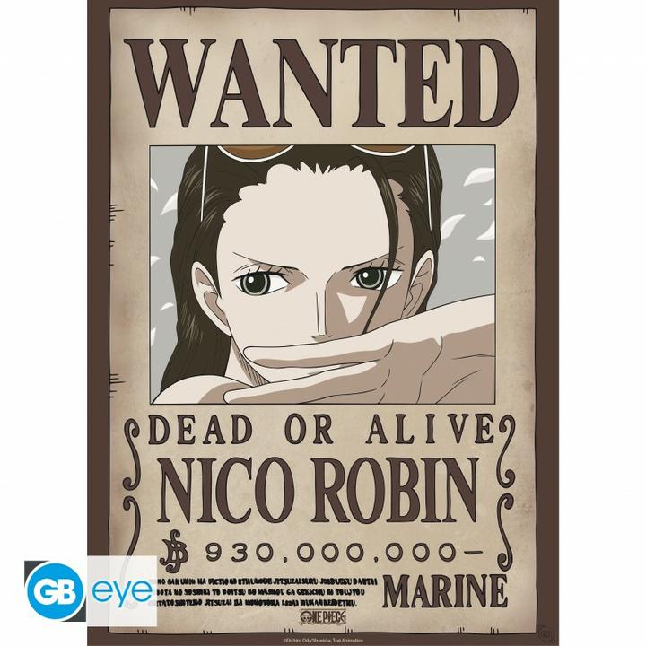 Actual product image GB Eye One Piece - Nami & Robin