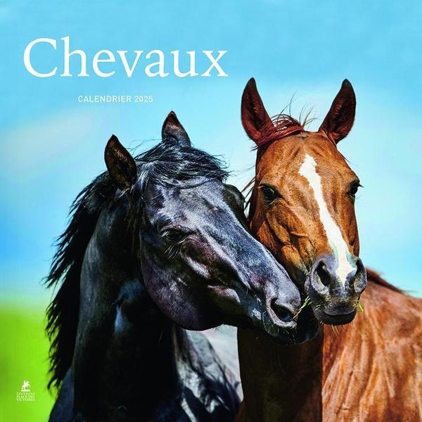 Chevaux : calendrier 2025 (Weicher Einband, Französisch)