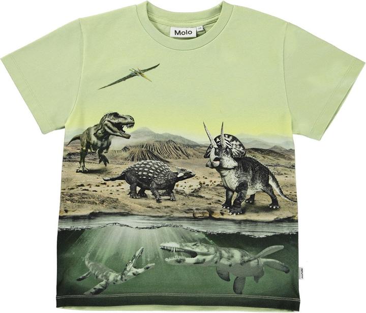 Molo T Shirt Rame