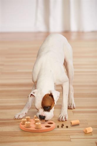 Produktbild Nina Ottosson Dog Smart CompositeLevel 1 (Intelligenzspielzeug Hund)