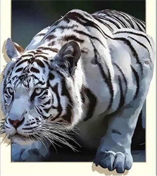 Immagine prodotto Pracht Diamond Painting 6037-40731 Tigre Bianca 25 x 35 cm