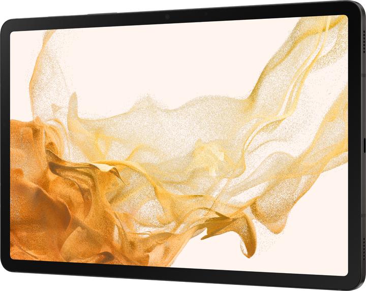 Image du produit Samsung Galaxy Tab S8 (5G, 11", 256 Go, Graphite)