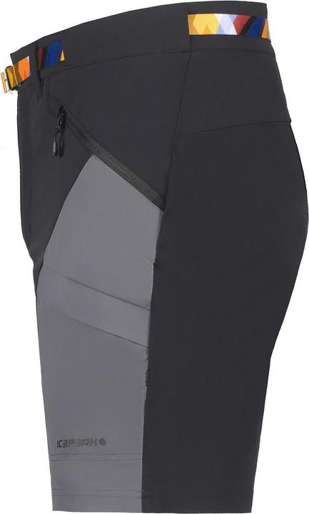 Image du produit Icepeak Delphos (46)