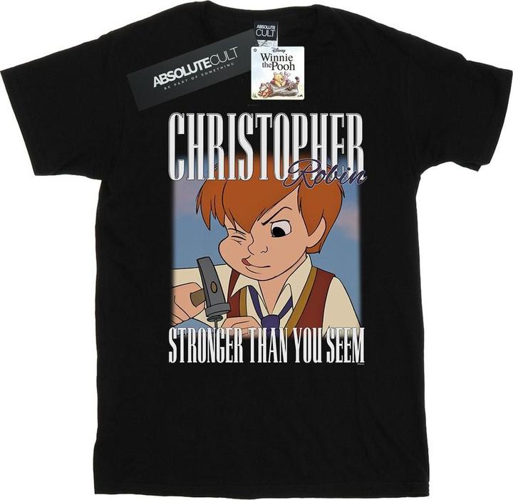 Disney Winnie The Pooh Christopher Robin Montage TShirt (3XL)