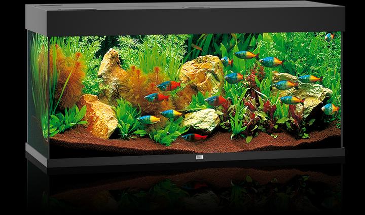 Image du produit Juwel Aquarium Rio (180 l)
