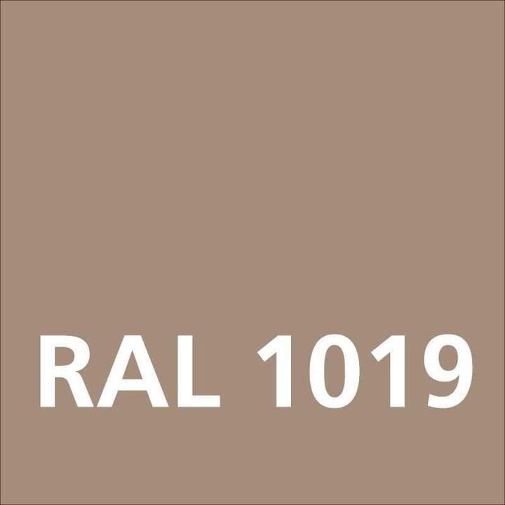 Image du produit Dupli-Color Peinture acrylique brillant RAL 1019 beige gris (beige gris beige, 0.40 l)