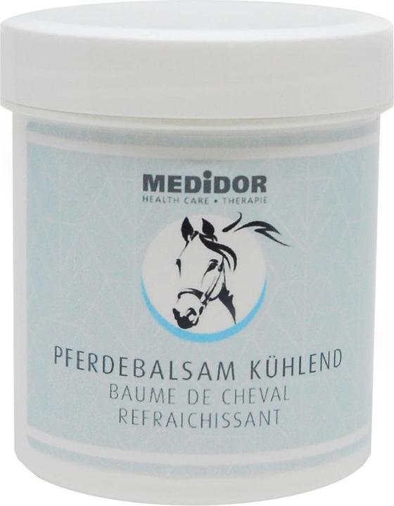 Medidor Pferdebalsam blau kühlend (1 x, 100 ml, 120 g)