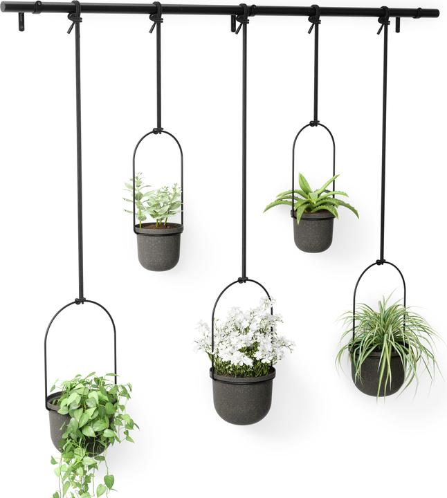 Actual product image Umbra Triflora (137 cm)