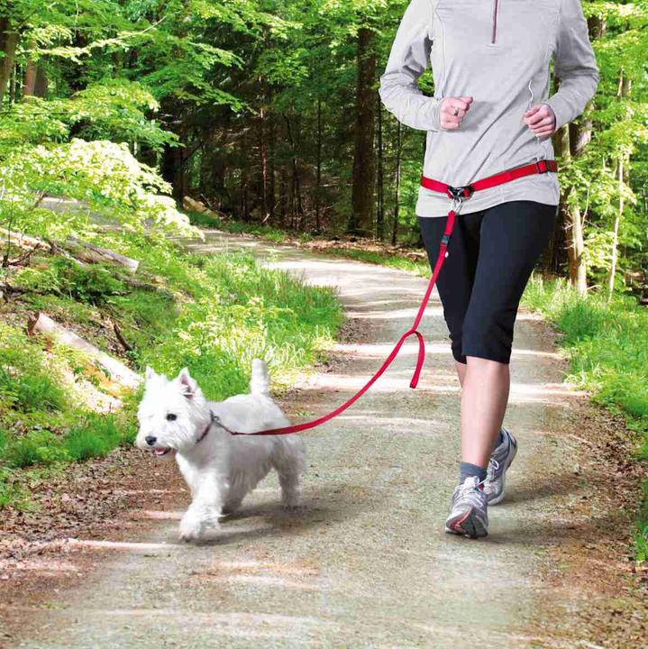 Productafbeelding Trixie Buikriem met riem (S, M, Hond, Joggen)