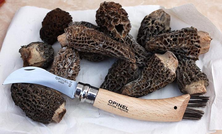 Immagine prodotto Opinel N. 8 (7 cm)
