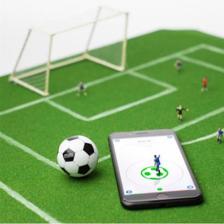 Actual product image Sphero mini soccer