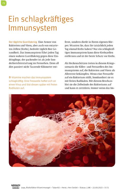 Image du produit Risikofaktor Vitaminmangel (Allemand, Andreas Jopp, 2024)