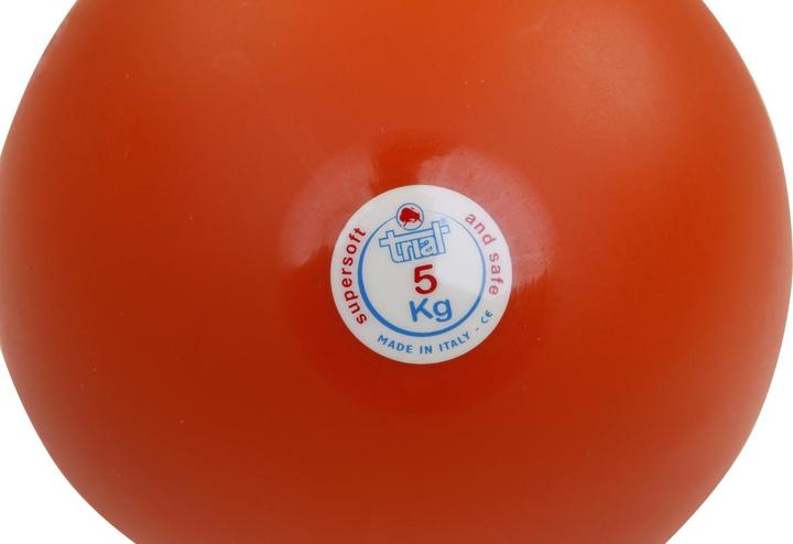 Actual product image Trial Shock ball (5000 g)