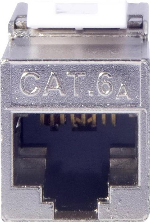 Actual product image Digitus CAT 6A Keystone Module,gesch. (Keystone module)
