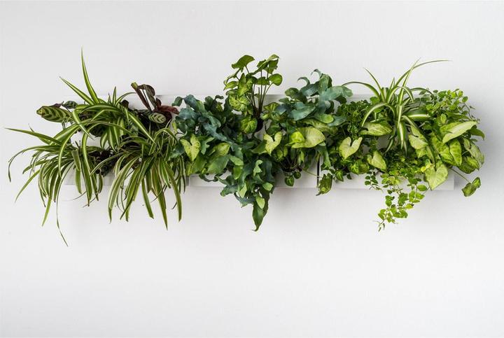 Produktbild Ortisgreen Vertikaler Garten Smart