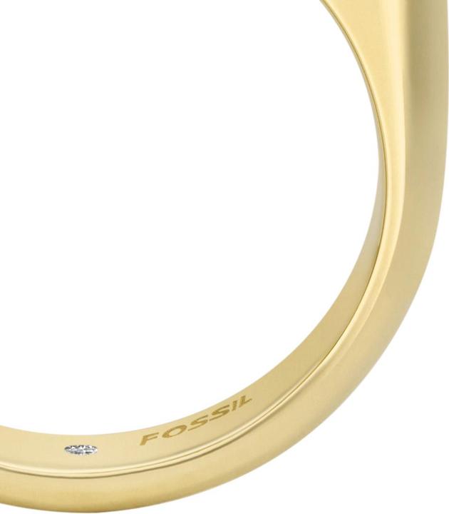Image du produit Fossil Heritage (55)