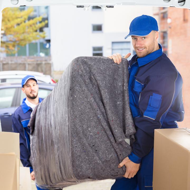 Actual product image Relaxdays Moving blanket