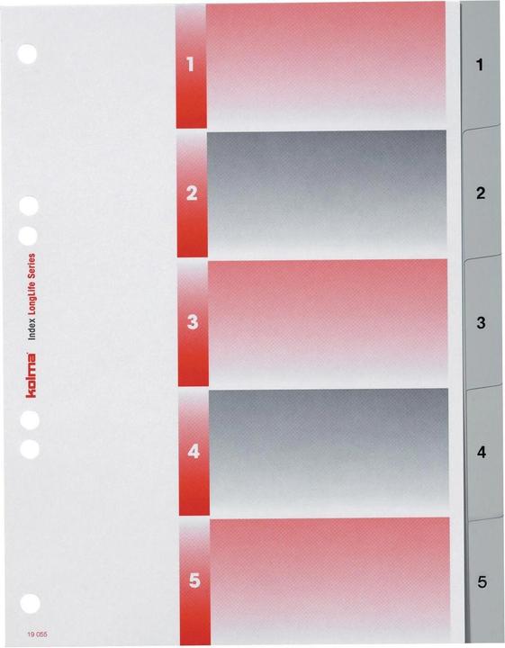 Actual product image Kolma Register LongLife full size grey, with index sheet