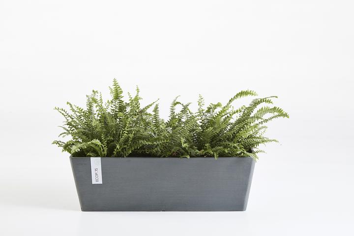 Actual product image Ecopots Bruges (80 cm)