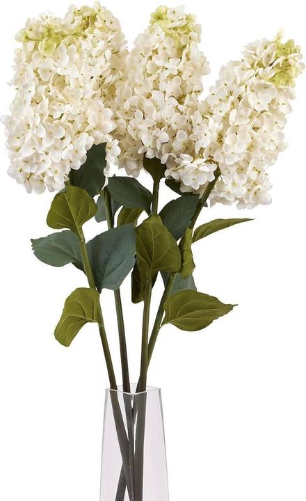 Immagine prodotto Hill Interiors Kunstblume (88 cm)