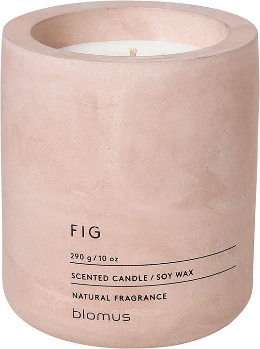 Fig