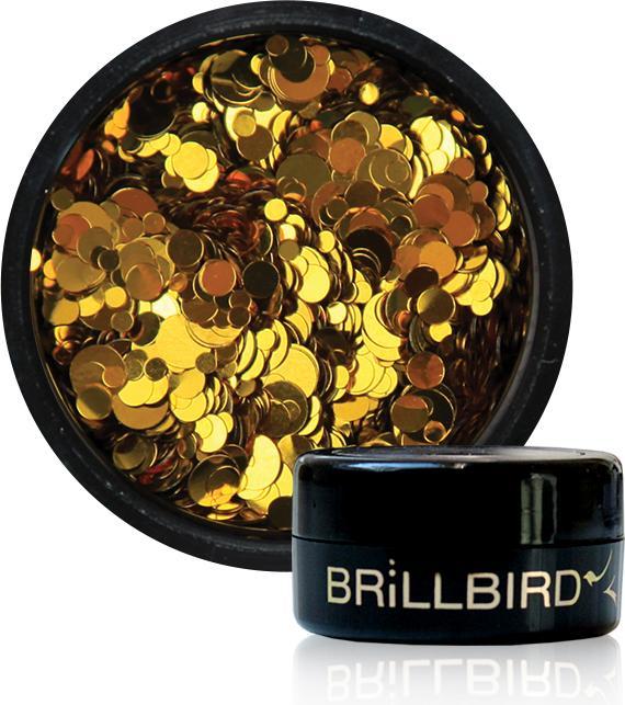 BrillBird Nail Art Dots 10