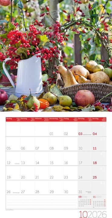 Image du produit In meinem Garten Kalender 2026 - 30x30 (30 x 30 cm, Couverture rigide, Allemand, Français, Anglais, Italien)