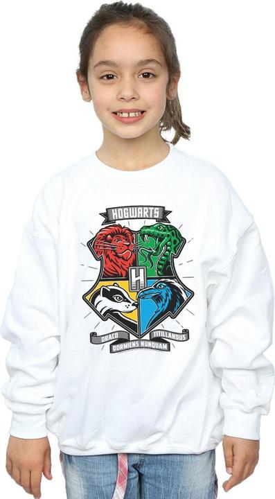 Immagine prodotto Hogwarts Toon Crest Felpa Ragazze (152, 158)
