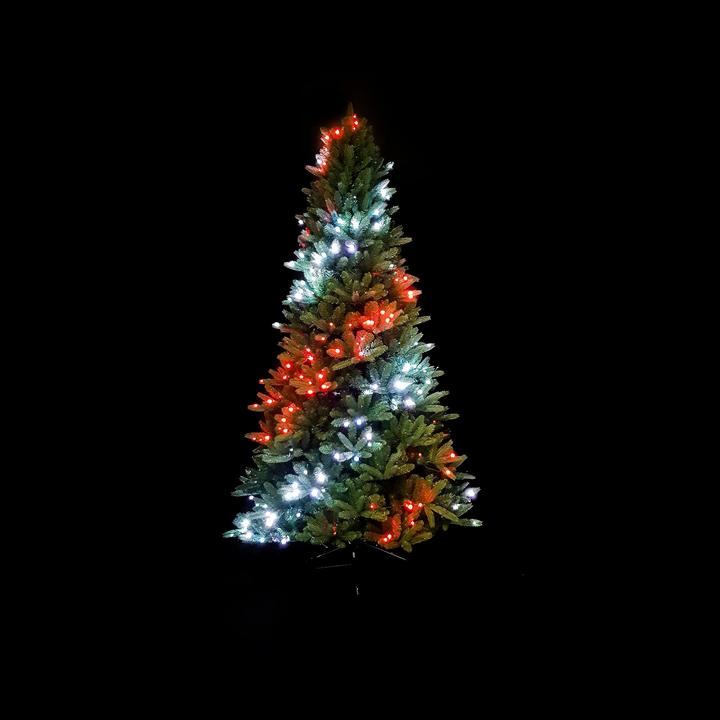 Actual product image Twinkly Tree PreLit (210 cm)