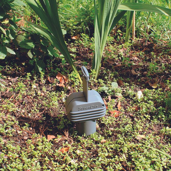 Produktbild Swissinno SuperCat
