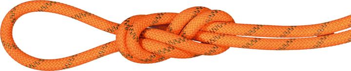 Produktbild Mammut 8.0 Alpine Dry Rope 60m (60 m)