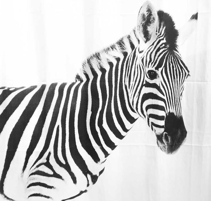 Actual product image spirella Zebra (180 x 200 cm)