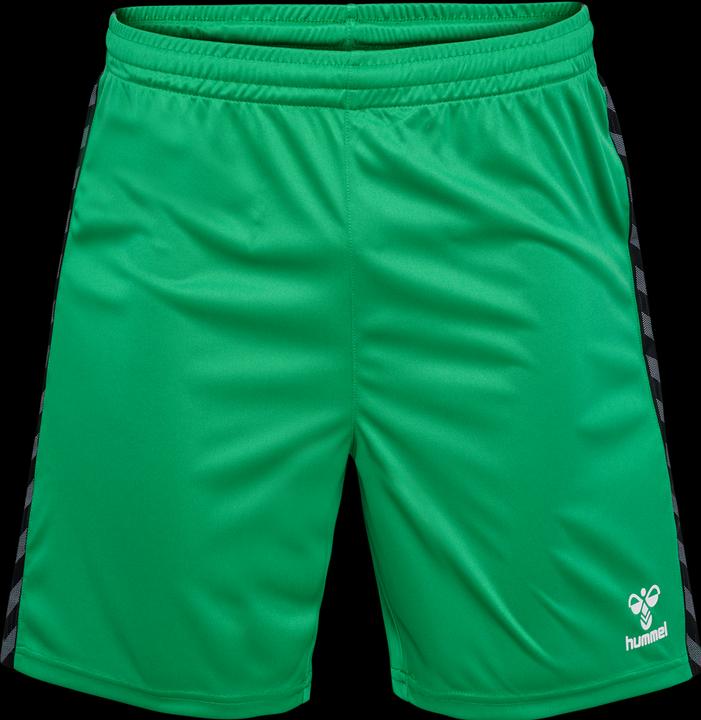 Image du produit hummel Hmlauthentic Pl Shorts (S)