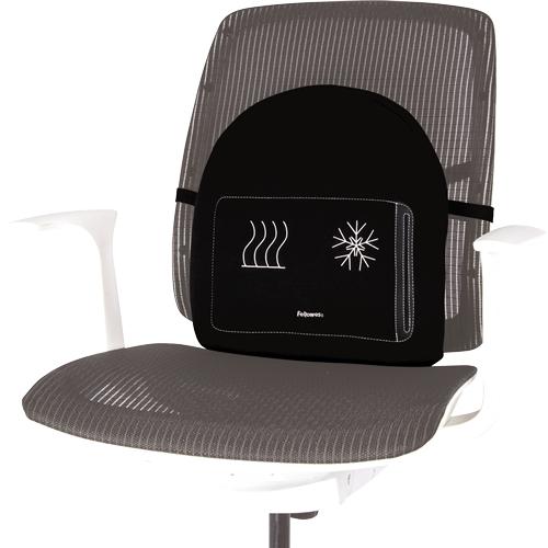 Image du produit Fellowes Support dorsal Professonal Series