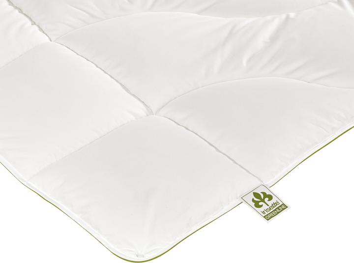 Produktbild Irisette Greenline Greenline Cyclafill ECO 4-Jahreszeiten (1100 g, 135x200 cm)