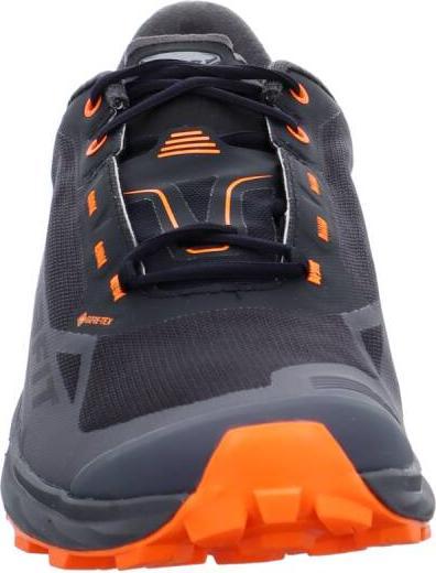 Actual product image Dynafit Ultra 50 Reflective GTX Running Shoe (42.5)