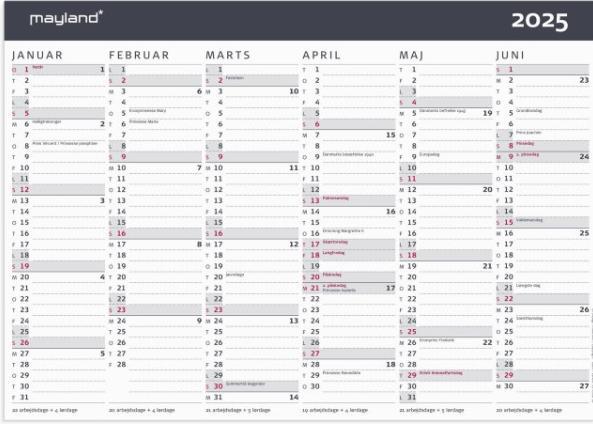 Actual product image Mayland-Burde Account Calendar Modern A4 2025 (A4)