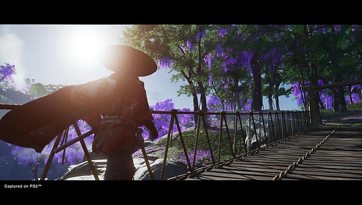 Immagine prodotto Sony Ghost of Tsushima - Directors Cut (PS5, DE)