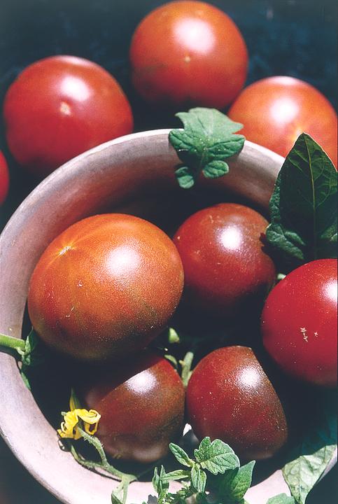 Produktbild Zollinger Bio Tomate, Schwarze Krim