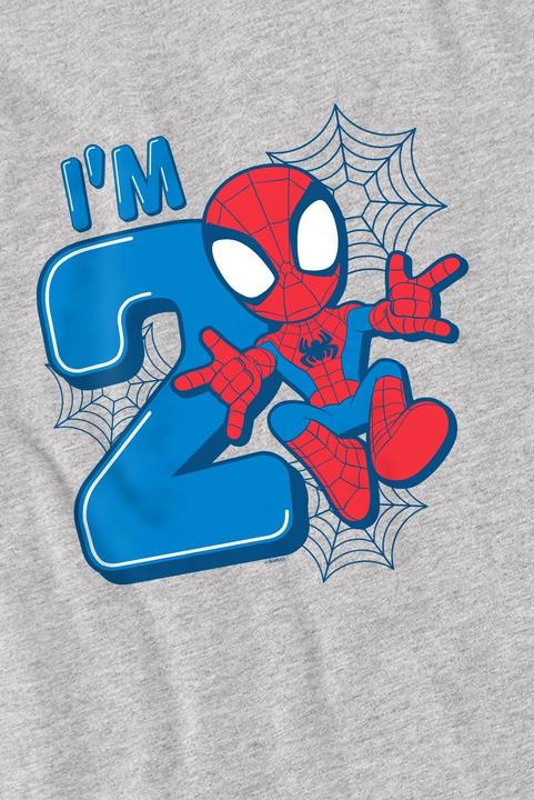 Actual product image Spiderman Childrens/Kids Cute Spidey 2nd Birthday T-Shirt (116)