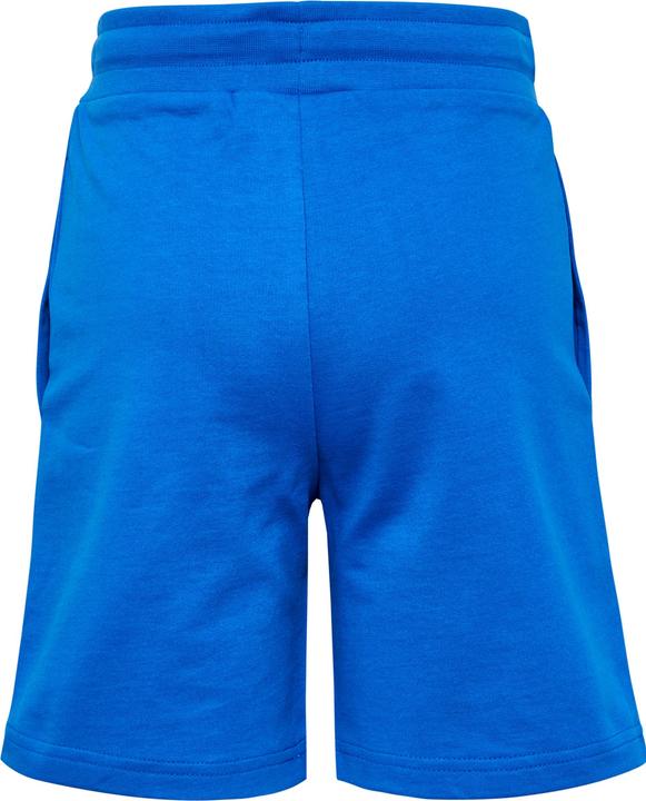 Actual product image hummel Hmlbassim shorts (122)